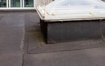 disadvantages of Elstronwick flat roofs