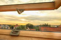 rated Elstronwick roof window companies